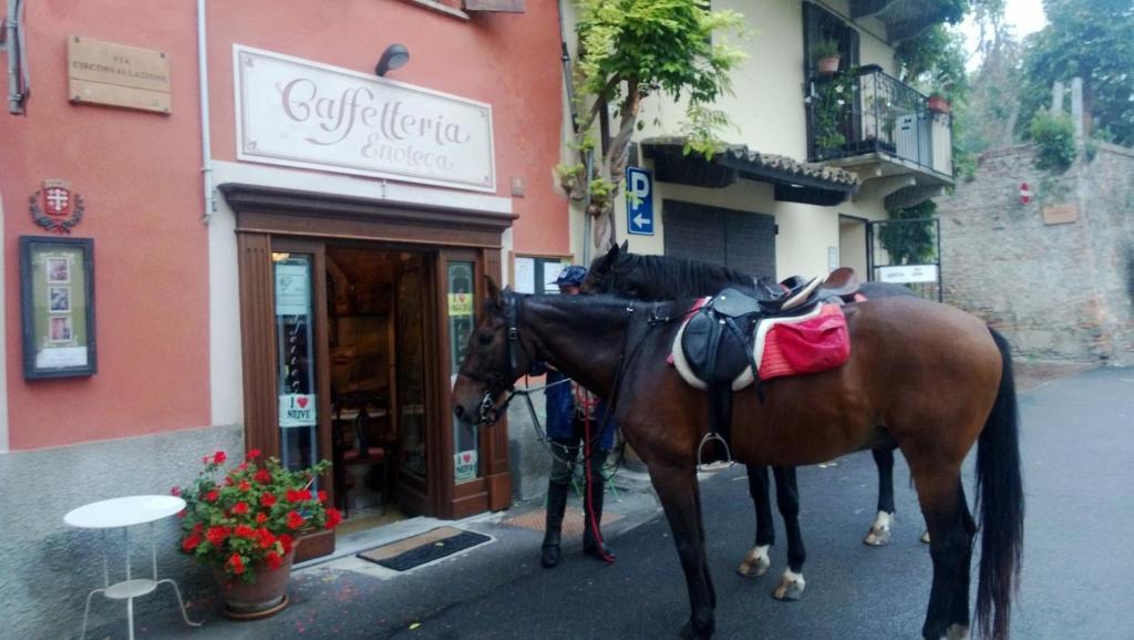 Dimora San Sebastiano Panzió Neive Kültér fotó